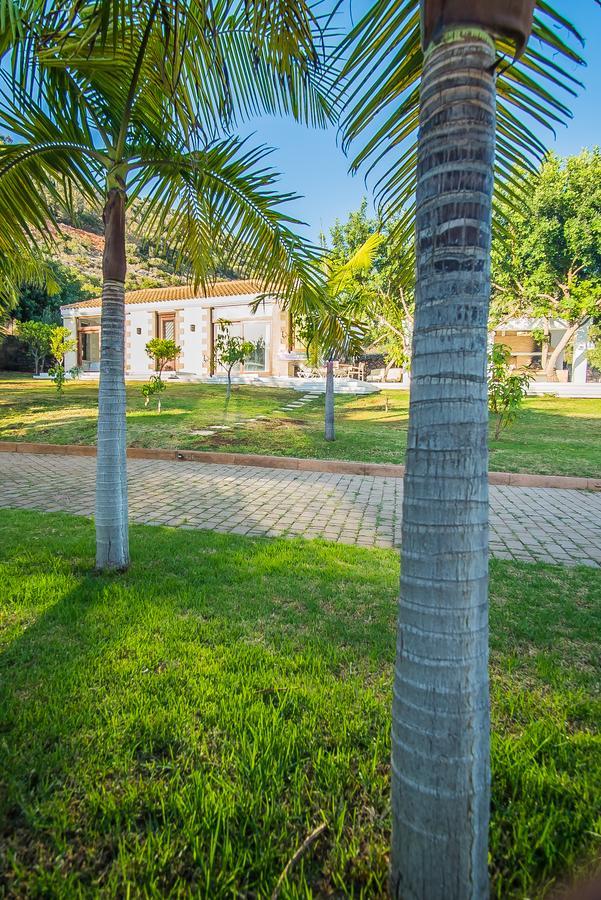 Villa Icons Sea Of Crete Malia Esterno foto